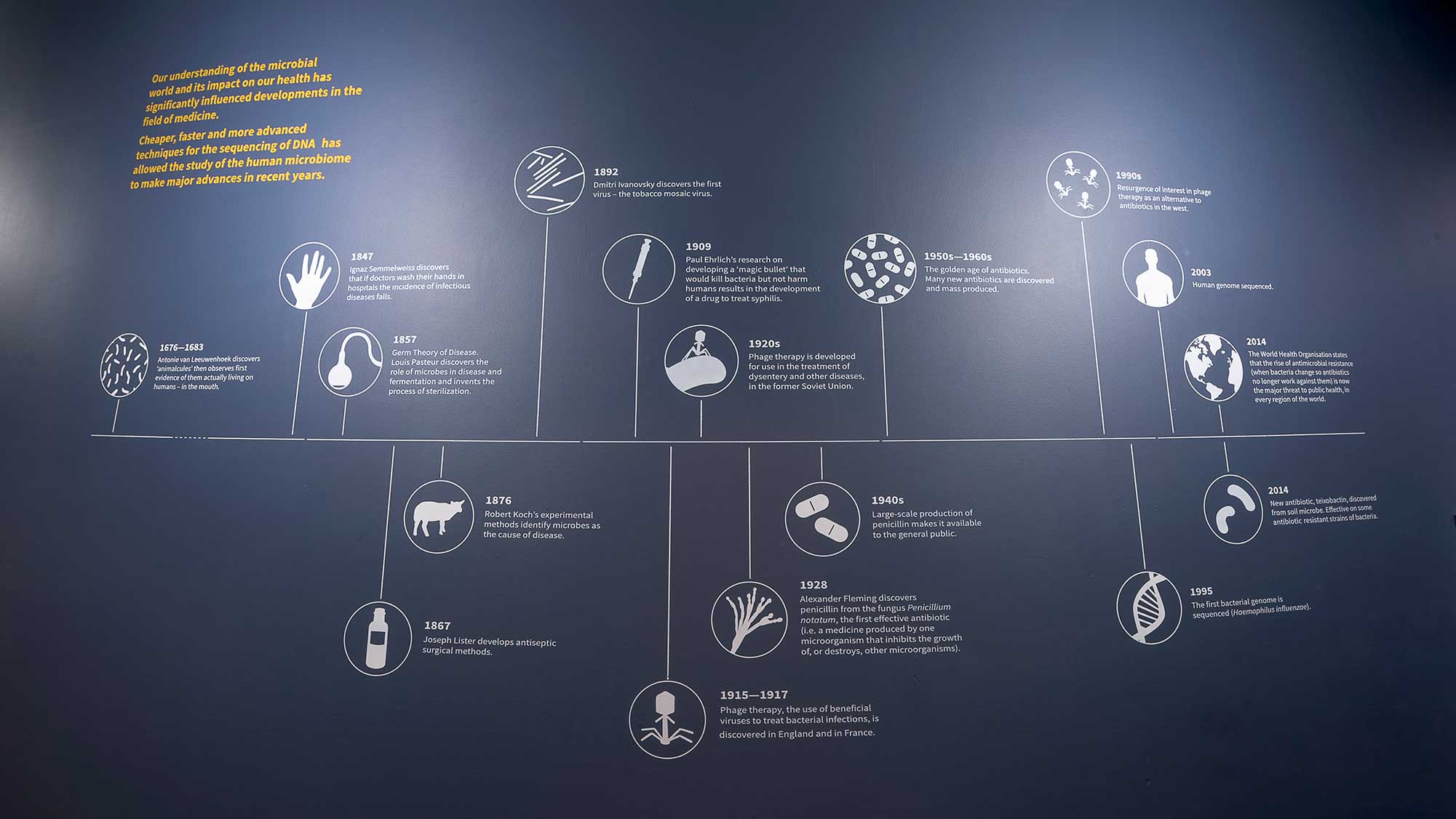 Invisible You — the human microbiome — exhibition infographics