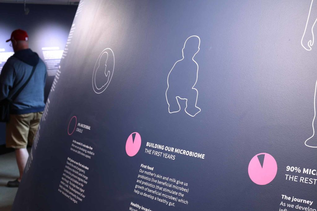 Invisible You — the human microbiome — exhibition infographics