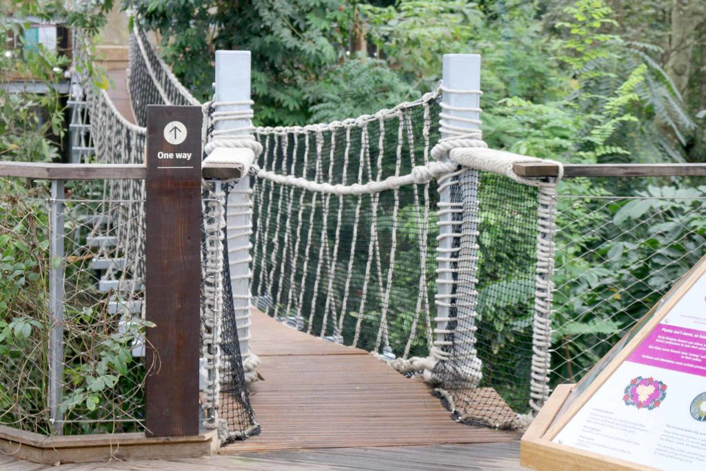 Rainforest Canopy Walkway way-finding