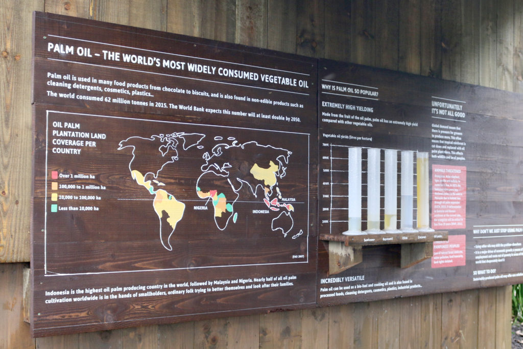 Palm oil exhibit
